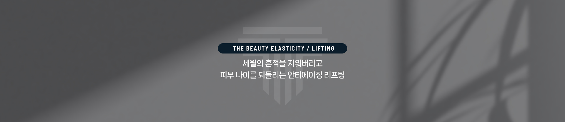탄력/리프팅 상세06