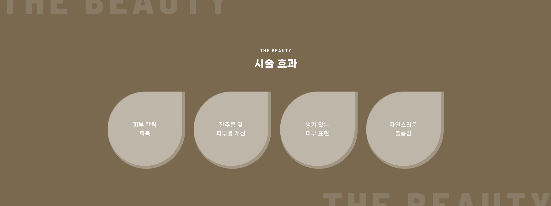 리프팅부스터 상세06
