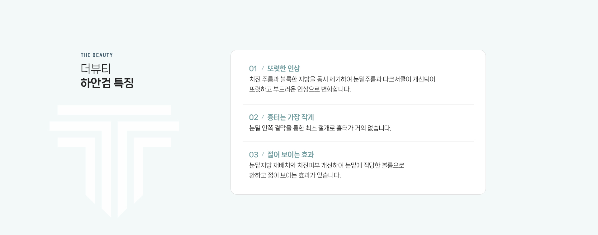 하안검 상세05