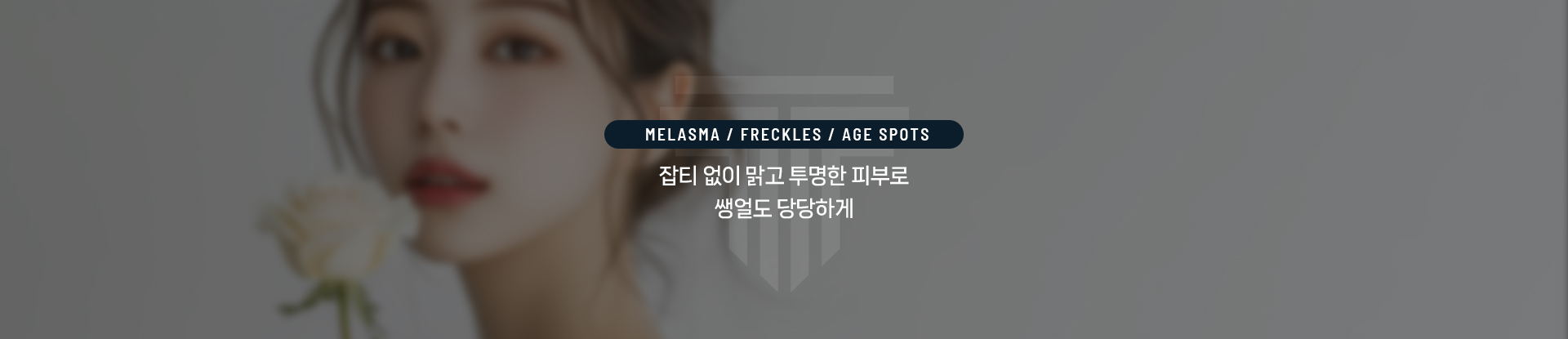 기미/주근깨/검버섯 상세06