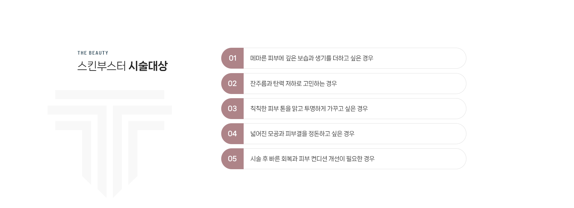 스킨부스터 상세02
